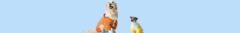 Banner de la categoría MODA CANINA