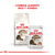 Imagen de Royal Canin Cat Ageing +12 X 2 Kg