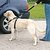 Arnes Para Coche L 70-90 Cm - comprar online