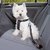 Arnes Para Coche L 70-90 Cm