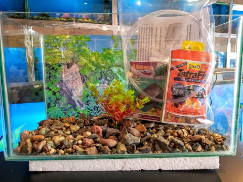 Kit Acuario Completo N° 3