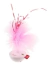 Juguete Con Plumas Tambaleante Con Plumas Y Sonido