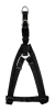 Arnes Zeus Medium 1,5 Cm. X 44 - 55 Cm.