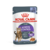 Royal Canin cat Appetite Control Sterilizados/castrados - comprar online