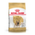 Royal Canin Bull Dog Frances Adulto