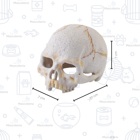 Adorno Calavera resina