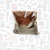 Dr. Cossia Brio Cat en internet