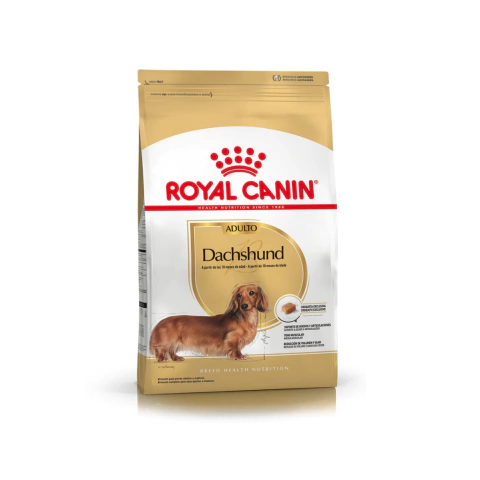 Royal Canin Dachshund/ Salchicha Adulto