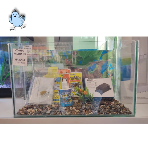 Combo pecera n3 completa 33x20x18