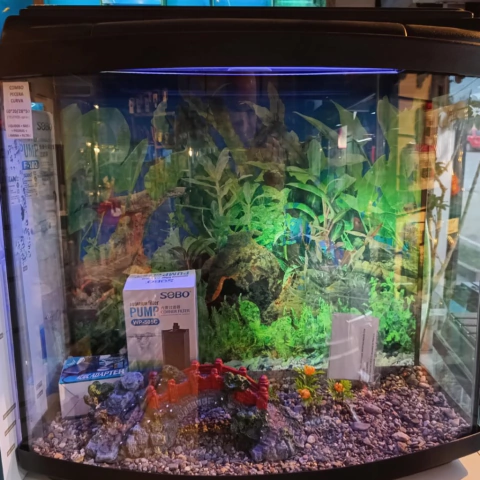 Pecera completa Frente Curvo 60*35*28/20