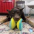Kong Rerun Whoosh Ball medium - comprar online