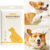 toallitas de limpieza para perros y gatos