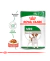 Royal Canin Dog Mini Ageing +12 - comprar online
