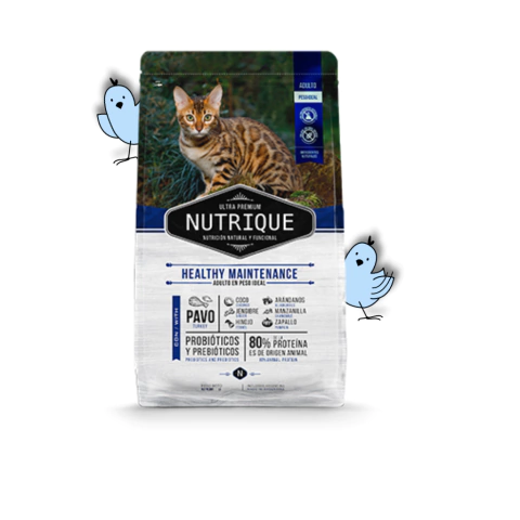 Nutrique gato adulto