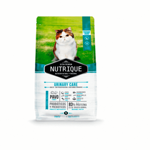 nutrique urinary