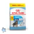 Royal Canin Maxi Puppy