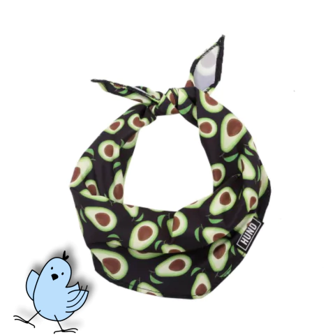 Bandana Palta Hund