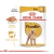 Royal Canin Caniche/Poodle Adulto - comprar online