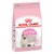 Royal Canin Kitten Gatitos de 4 a 12 meses