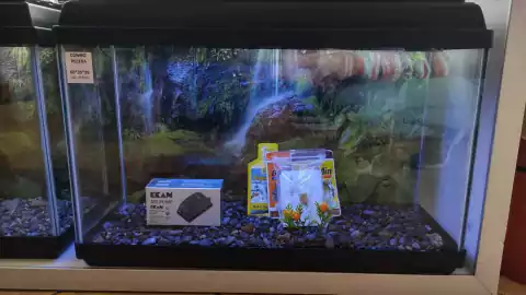 Combo Pecera 60x35x20 con iluminación led