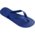 Chinelo Havaianas TOP Unissex - Anyp Sport Stancia