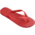 Chinelo Havaianas TOP Unissex na internet