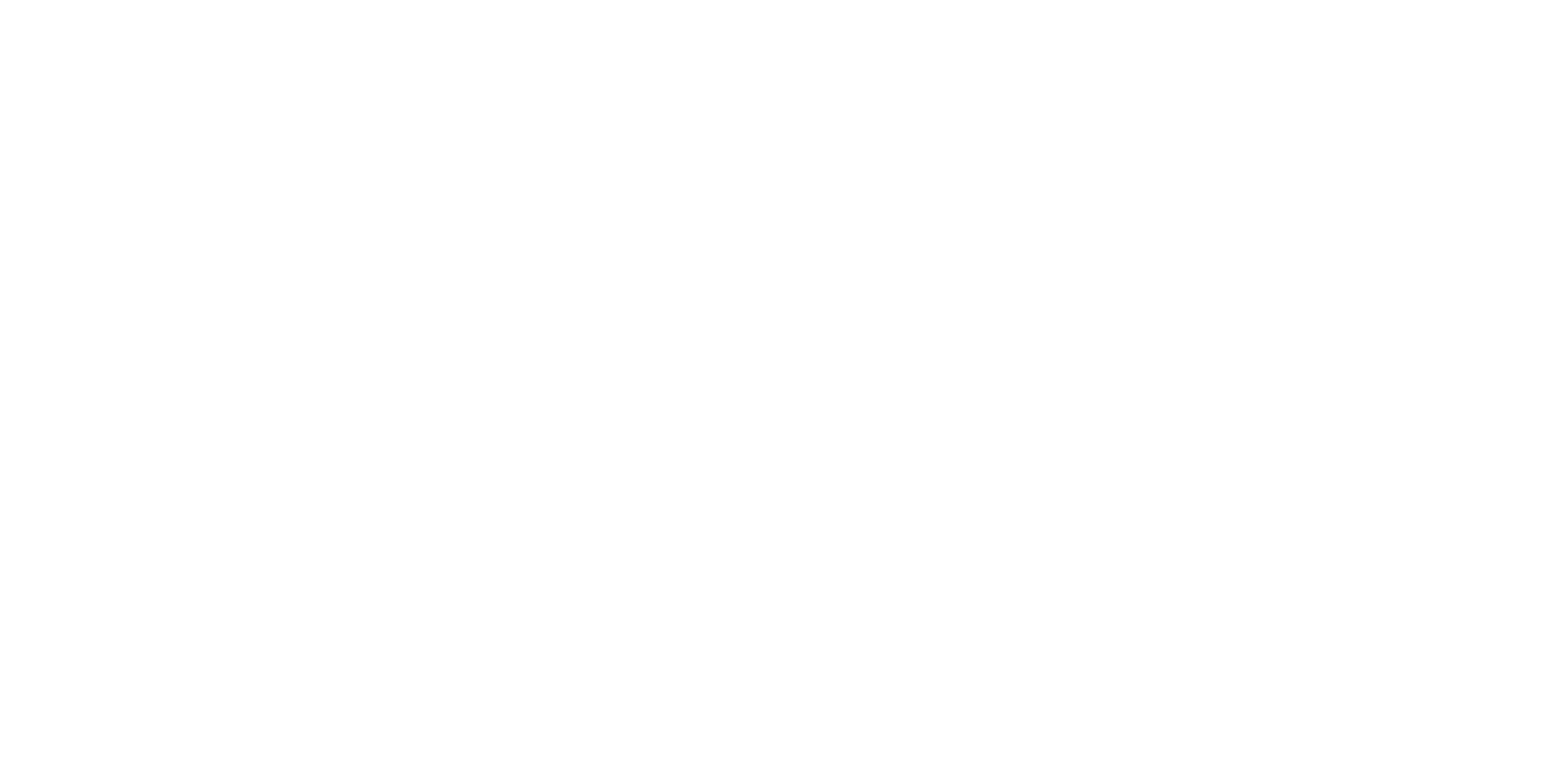 Anyp Sport Stancia