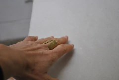 Anillo Vanus - Bronce - a pedido - Mukenia