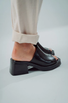 Modelo Dana en internet