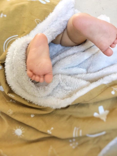 MANTA TUSSOR CON CORDERITO - tienda online