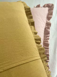 Imagen de ALMOHADÓN VOLADOS 60x40