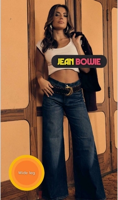 JEAN BOWIE en internet