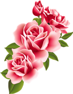 Banner da categoria MODA FITNESS