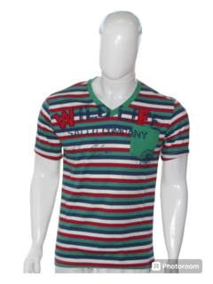 Camiseta Sallo Gola V Masculino Adulto