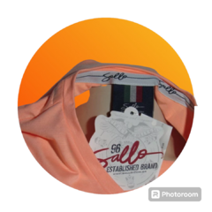 Camiseta Original Sallo Gola V Duas Cores - loja online