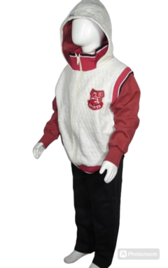 Conjunto Moletom Masculino Infantil Duas cores 1287 Whitecat - comprar online