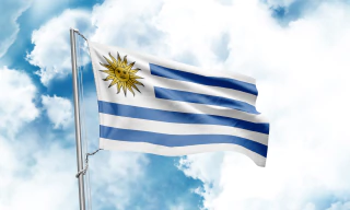 Combo lanzamiento LIBRE 10 kg - Yerba Mate Amanda - Tienda