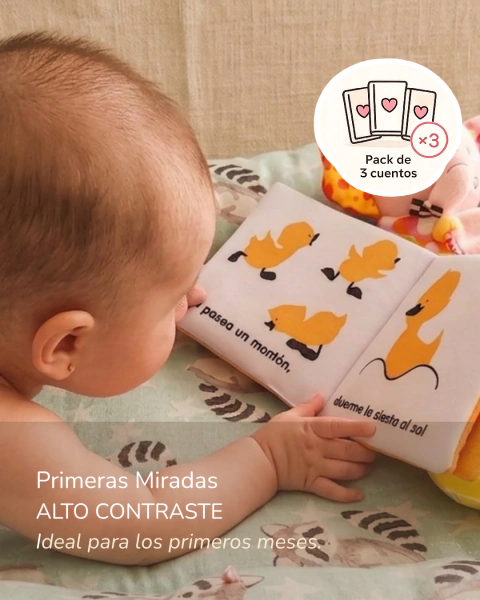 Alto Contraste - Primeras Miradas