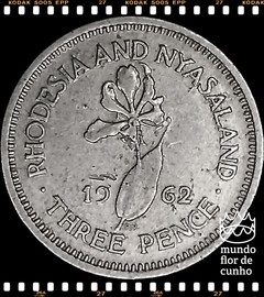 Km 3 Rodésia & Niassalândia, Federação 3 Pences (Série Completa) 1955 1956 1957 1962 1963 1964 # Elizabeth II © - comprar online