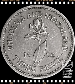 Km 3 Rodésia & Niassalândia, Federação 3 Pences (Série Completa) 1955 1956 1957 1962 1963 1964 # Elizabeth II © - Mundo Flor de Cunho | Numismática