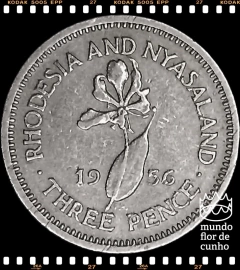 Km 3 Rodésia & Niassalândia, Federação 3 Pences (Série Completa) 1955 1956 1957 1962 1963 1964 # Elizabeth II © - Mundo Flor de Cunho | Numismática