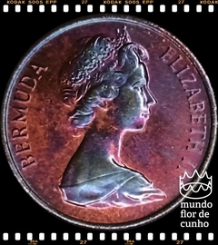 Km 15 Bermudas 1 Cent 1977 XFC # Porco Selvagem ©