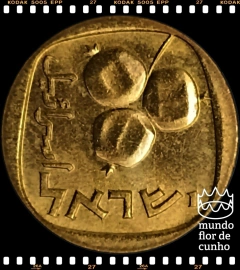 Km 25 Israel 5 Agorot JE 5729 (1969) (j) XFC © - comprar online