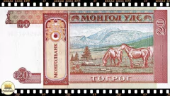 .P55 Mongolia 20 Tugrik ND(1993) FE - Mundo Flor de Cunho | Numismática