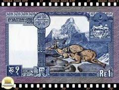 .P22 Nepal 1 Rupee (Nós Temos Mais de Uma Data # Favor Escolher uma Data Abaixo e o Estado de Conservação) na internet