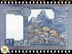 .P37 Nepal 1 Rupee (Nós Temos Mais de Uma Data # Favor Escolher uma Data Abaixo e o Estado de Conservação) na internet