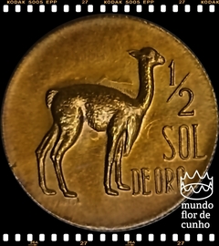 Km 247 Peru 1/2 Sol 1969 # Cunho Vazado atrás da Vicunha ©