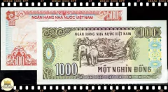 P101a e P106a # Cédulas Gêmeas # 2 Cédulas diferentes com séries diferente e números iguais # Vietnã 500 e 1000 Dong 1988 (1989) FE na internet