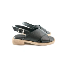 498 Floter Negro