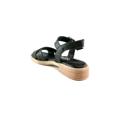 491 Floter Negro